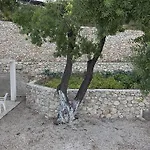 House Zorra *