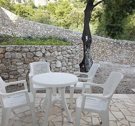 House Zorra *