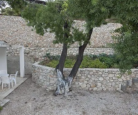 House Zorra *